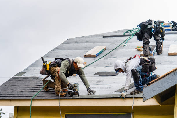 Professional Flat Roof Repair technician working in Westport, IN